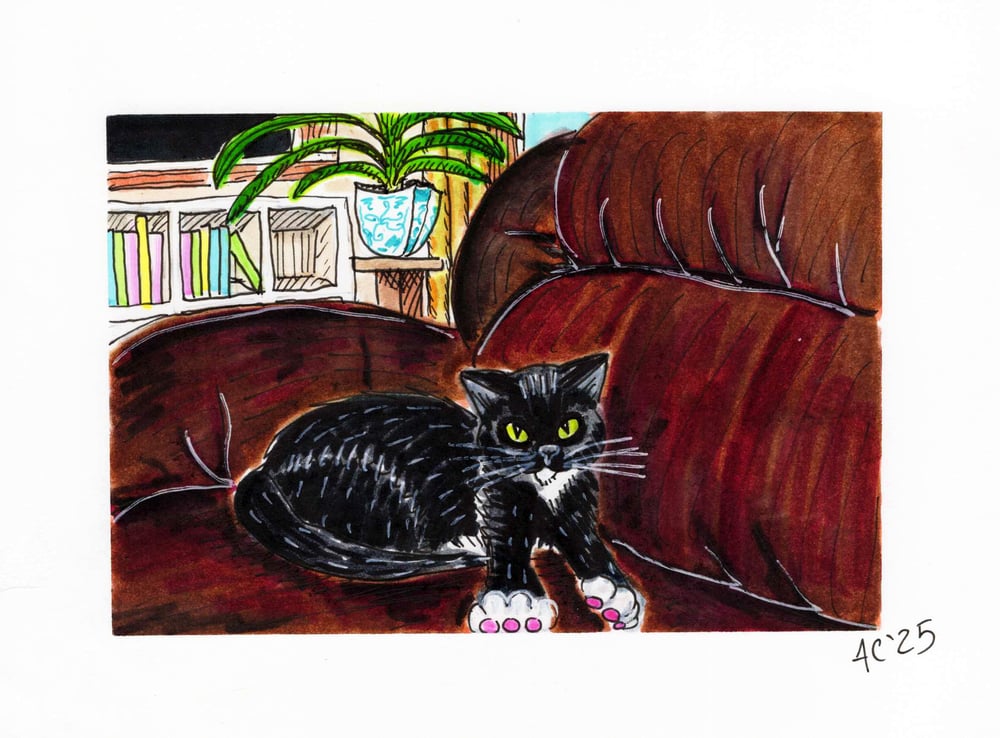 Image of Pet Portrait (DIGITAL ONLY)