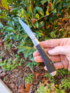 Lockback pocket knife