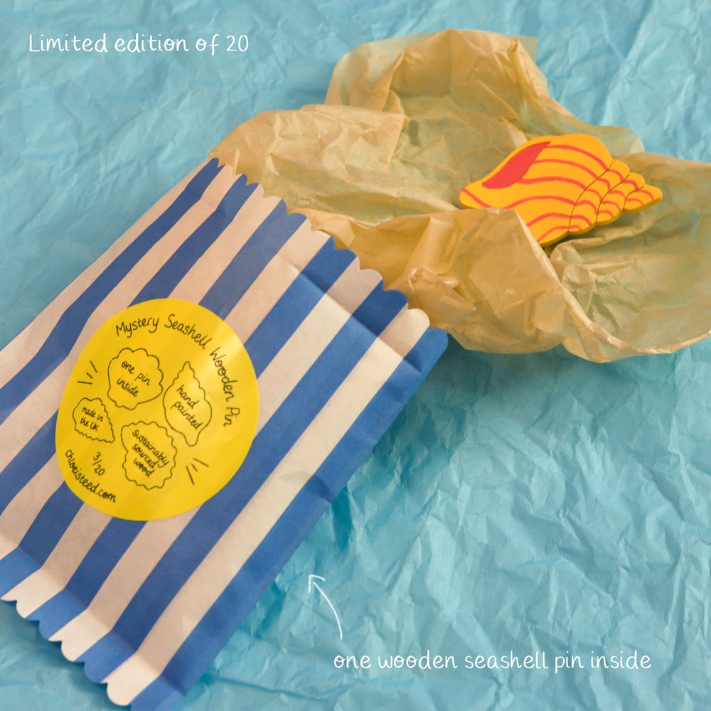 Seashell Wooden Pin Mystery Blind Bag