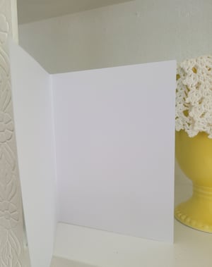 Image of Birthday Sprinkles