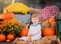 Image 2 of FALL MINI'S - RETAINER ONLY