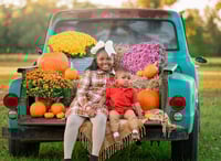 Image 3 of FALL MINI'S - RETAINER ONLY