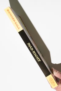 Image 11 of Mad Night by Richard Sala