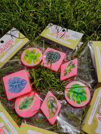 Image 1 of Planty magnets