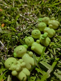 Image 1 of Shy smiski