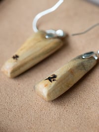 Image 4 of Bark Beetle, Earrings | 006