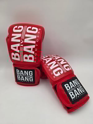 Image of 20oz Gloves 