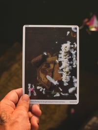 Image 1 of 31 / 108 〜 Flowers floating over the gods among the feathers and bones