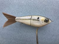 Image 1 of SPEEDBAITS Custom Airbrushed Glide Bait TFS