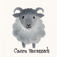 Image 1 of Caora Bheannach: Hebridean Sheep