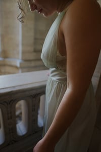 Image 3 of The Robin Gown