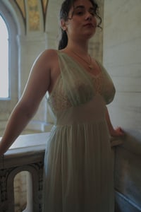 Image 1 of The Robin Gown