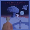 Shipping Now: Chameleons Arctic Moon CD