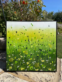 Image 6 of 'Bee in the Limelight'
