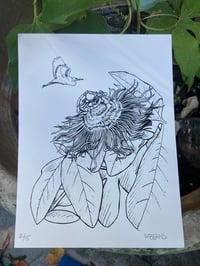 Passion Flower