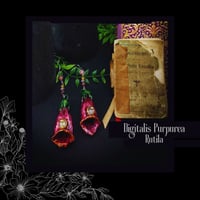 Image 1 of ☽ Digitalis Rutila ☾
