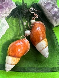 She Glazed - Shell Earrings