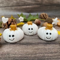 Image 3 of Matte White Ceramic Smiley Pumpkins