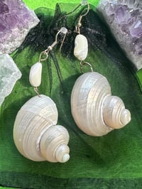 She Special - Shell Earrings