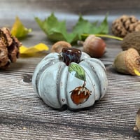 Image 1 of Black Clay Autumn Cobnut Ceramic Pumpkin