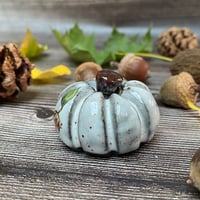 Image 2 of Black Clay Autumn Cobnut Ceramic Pumpkin
