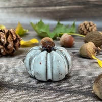 Image 3 of Black Clay Autumn Cobnut Ceramic Pumpkin