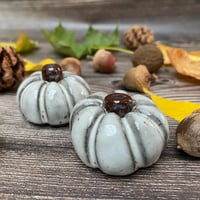 Image 1 of Speckled Ceramic Pumpkins - Black Clay