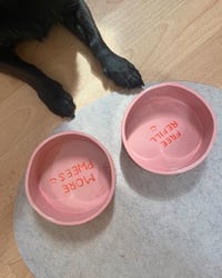 Image 2 of Dog Bowl Stripes
