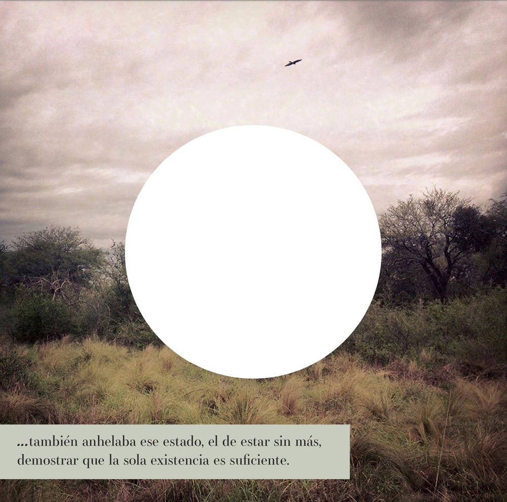 Image of Preventa Monte / Libro 2 - Diario de obra 
