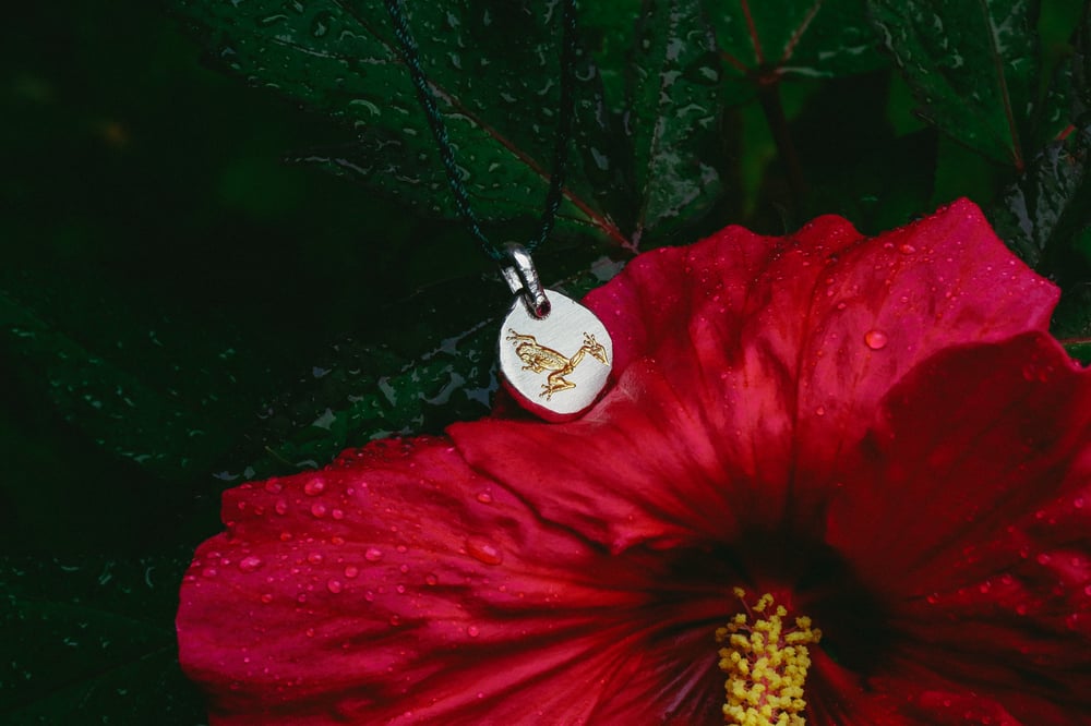 Image of Frog Pendant 