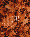 {Full}