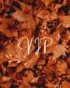 {VIP}