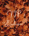 {VIP EXCLUSIVE}