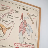 Image 10 of Grandes affiches scolaires anciennes