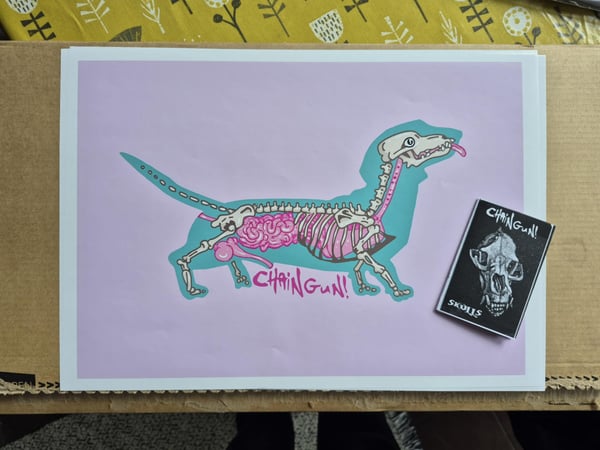 Image of anatomy print and free zine