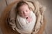 Image of Newborn Sessions