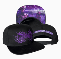 'Amaranthine Redolence' snapback Hat.