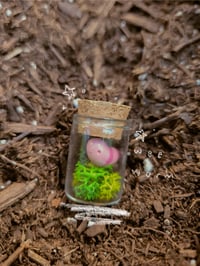 Image 4 of Wonderlings