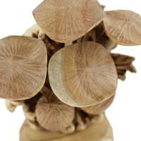 Image 1 of Table Mushroom Deco