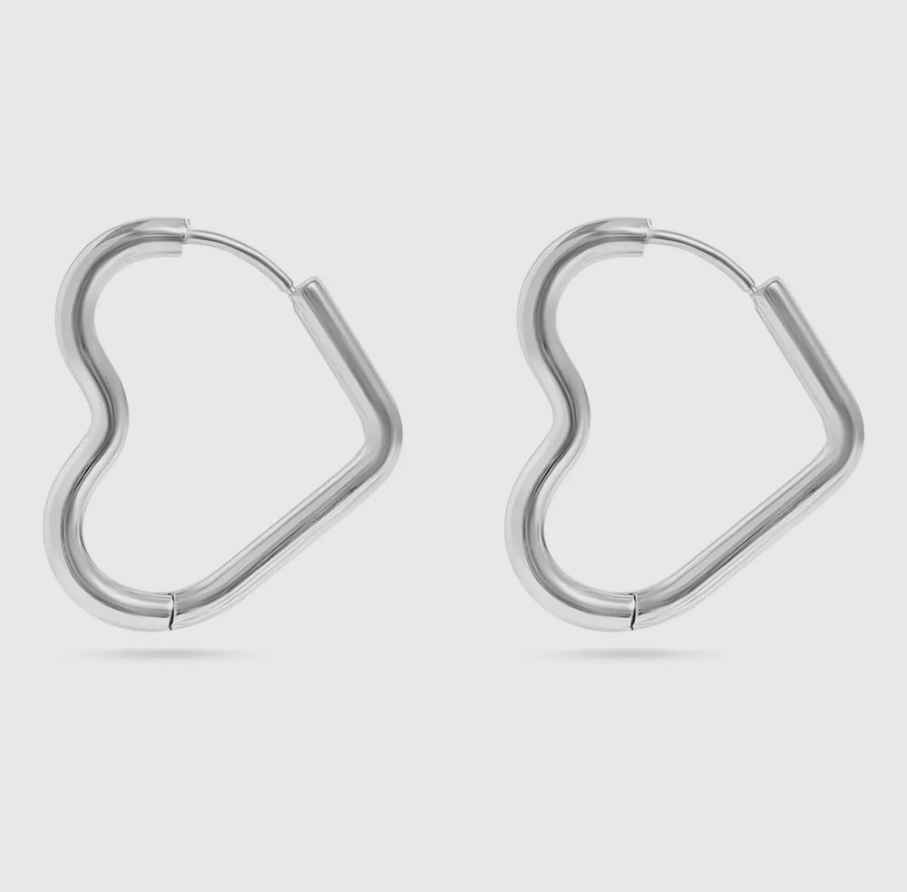 Image of Stainless steel heart earrings