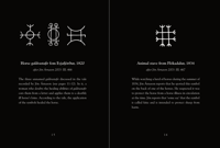 Image 5 of DIGITAL Galdrastafir: Historical Icelandic Magic Symbols by Kári Pálsson & Giorgia Sottotetti