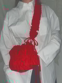 Image 2 of Red Pudding Pouch 