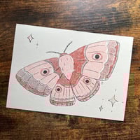 Risograph Moth Print