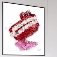 Image 2 of DENTIER SAUTEUR