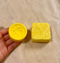 Image 3 of Waste Free Shampoo and Conditioner