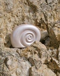 Image 1 of The Shell Sundae Bag