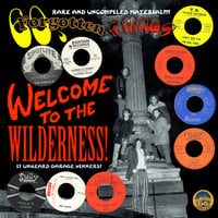 Image 1 of V/A "60's Forgotten Things Vol. 1: Welcome To The Wilderness! " LP (blue vinyl)