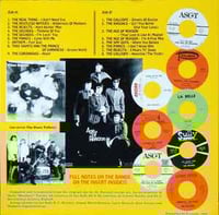 Image 2 of V/A "60's Forgotten Things Vol. 1: Welcome To The Wilderness! " LP (blue vinyl)