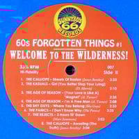 Image 4 of V/A "60's Forgotten Things Vol. 1: Welcome To The Wilderness! " LP (blue vinyl)