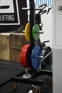 Image 2 of Rack Portadischi Aumentato 